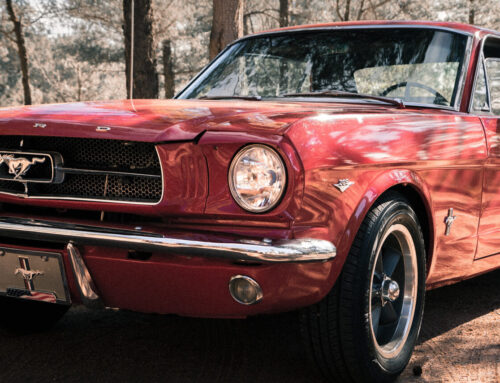 1965 Shelby Mustang GT350 Project Continues